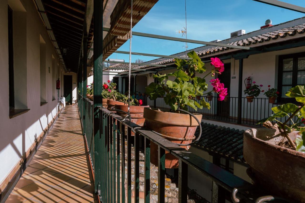 Con Encanto En Patio Sevillano *